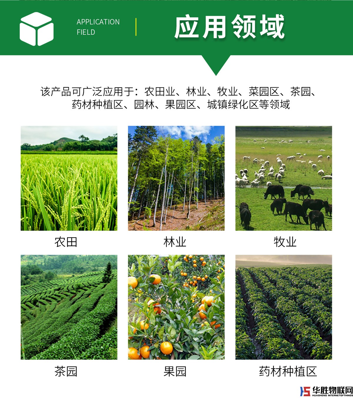 風吸式殺蟲燈